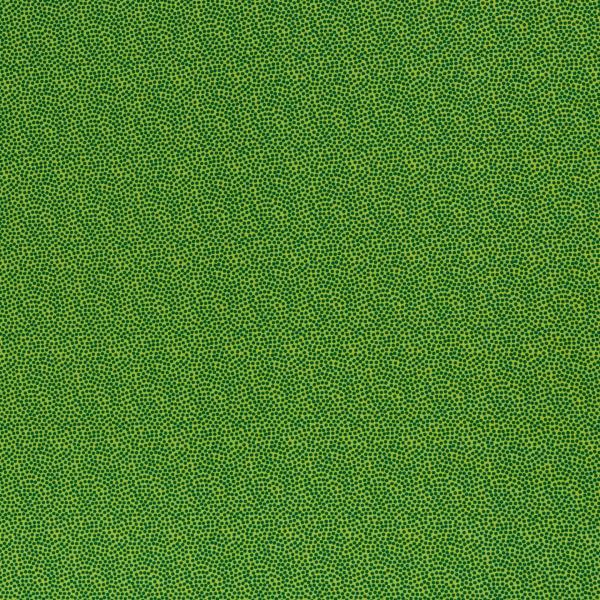 Baumwolle Dotty Dunkelgrün/Kiwi by Swafing